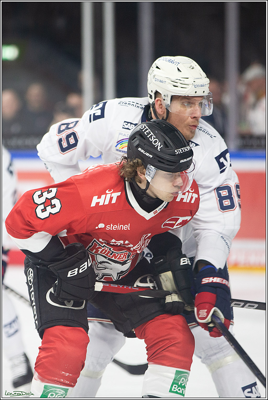PENNY DEL; Koelner Haie- Adler Mannheim; Koeln, 08.03.2024