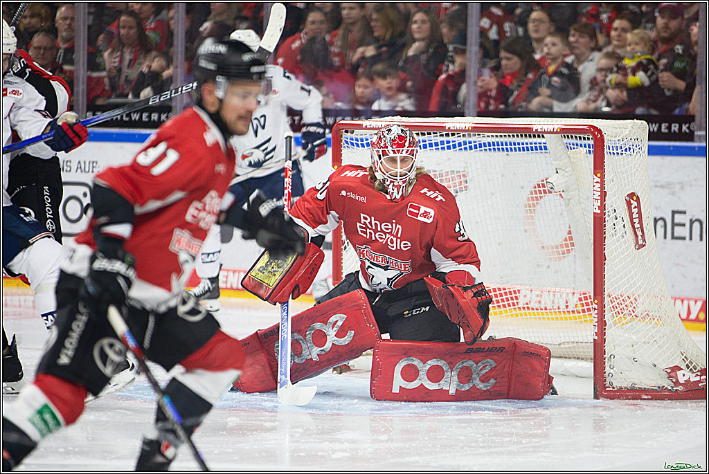 PENNY DEL; Koelner Haie- Adler Mannheim; Koeln, 08.03.2024