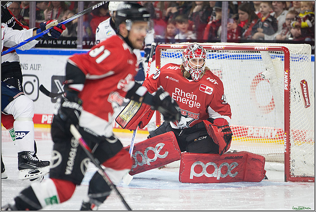 PENNY DEL; Koelner Haie- Adler Mannheim; Koeln, 08.03.2024