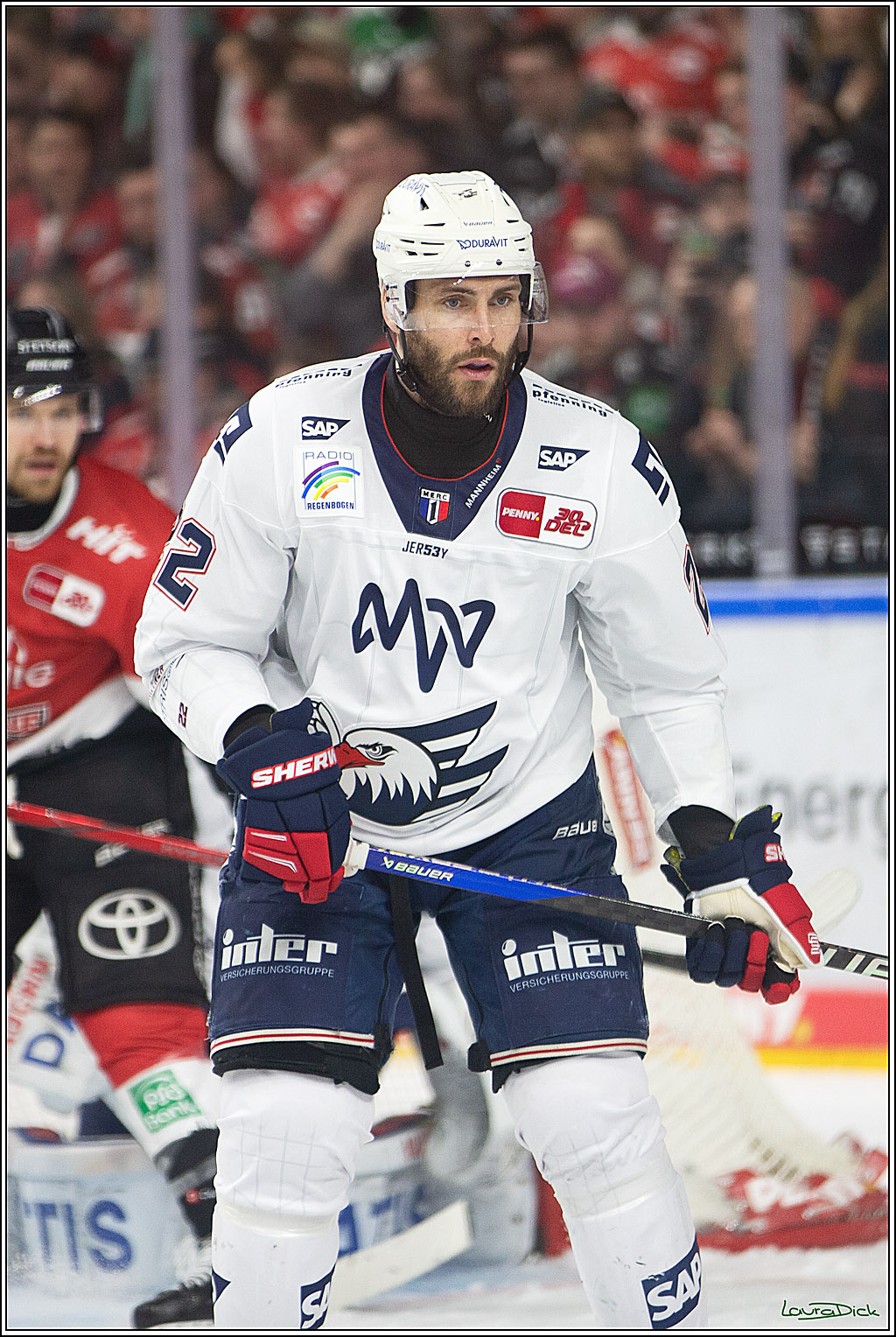 PENNY DEL; Koelner Haie- Adler Mannheim; Koeln, 08.03.2024