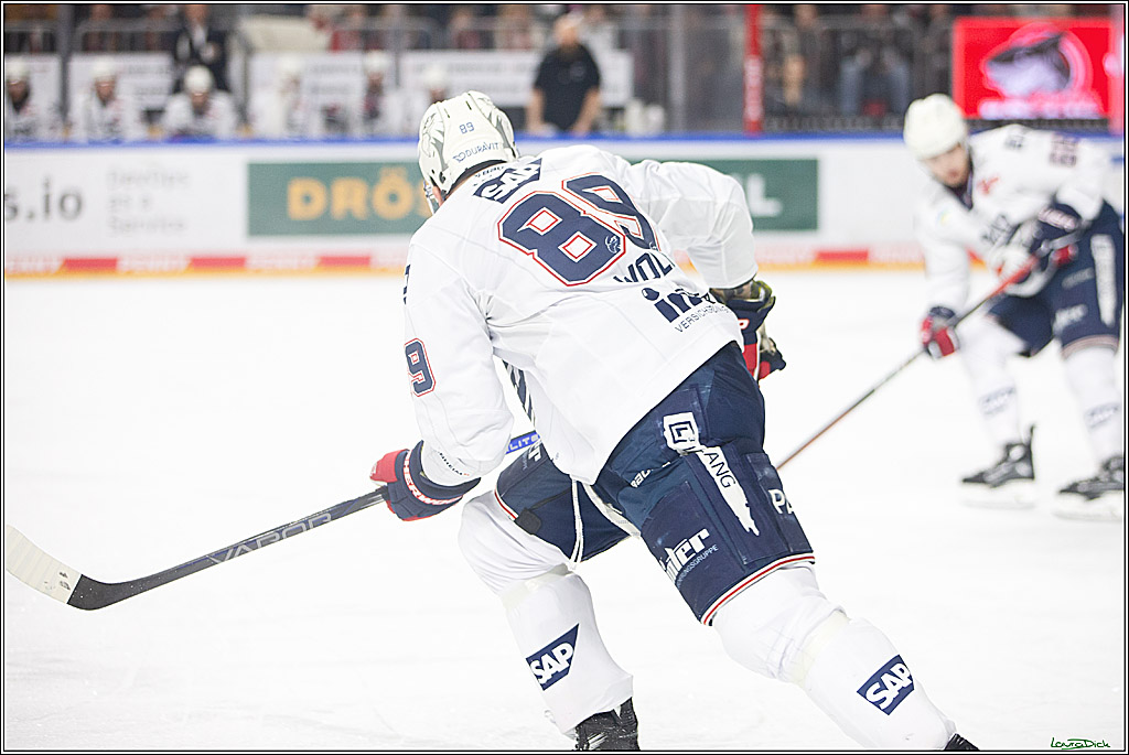PENNY DEL; Koelner Haie- Adler Mannheim; Koeln, 08.03.2024
