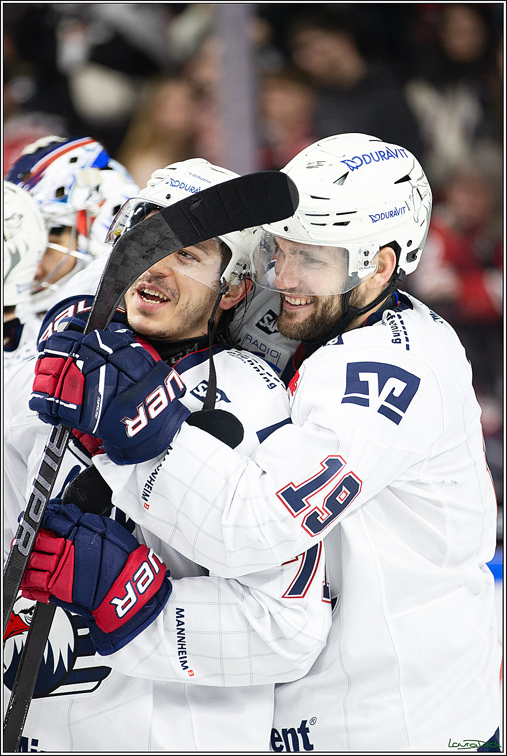 PENNY DEL; Koelner Haie- Adler Mannheim; Koeln, 08.03.2024