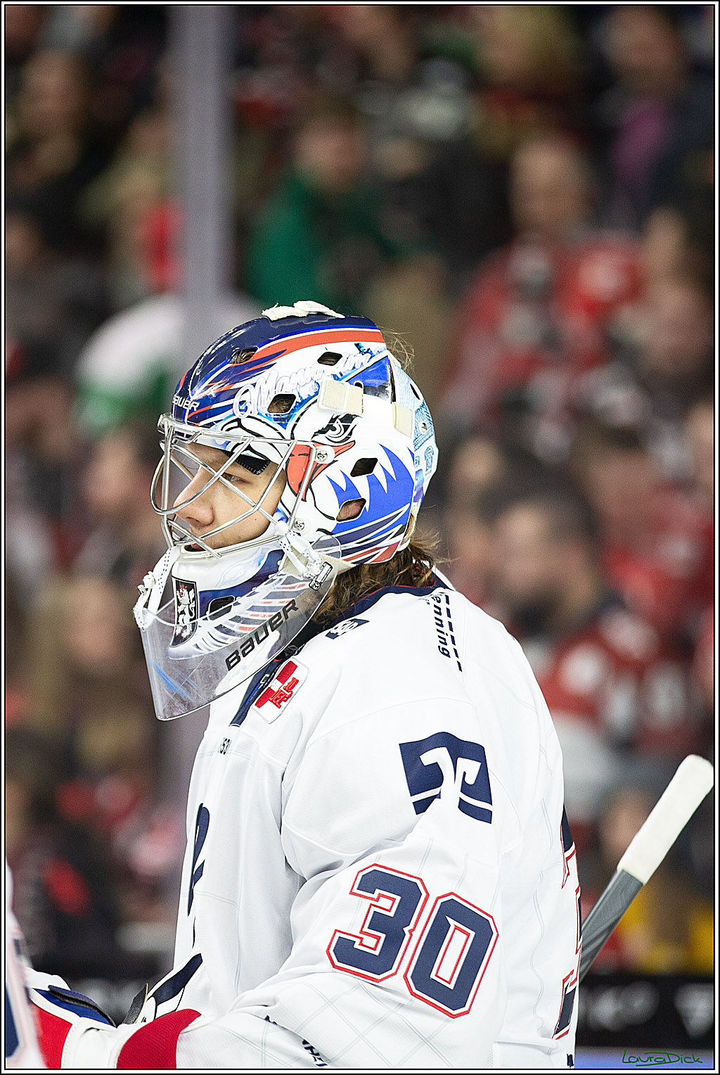 PENNY DEL; Koelner Haie- Adler Mannheim; Koeln, 08.03.2024