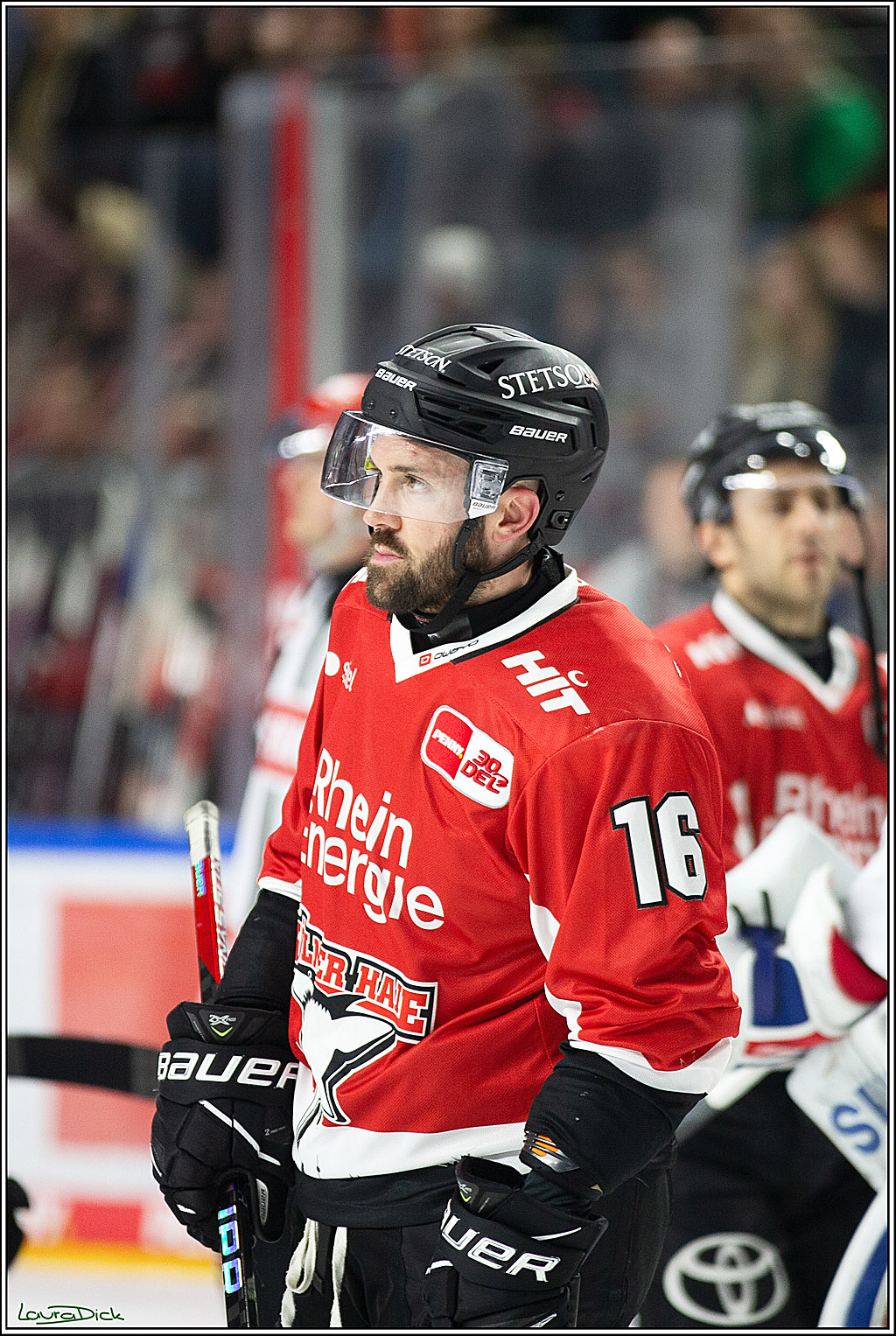 PENNY DEL; Koelner Haie- Adler Mannheim; Koeln, 08.03.2024