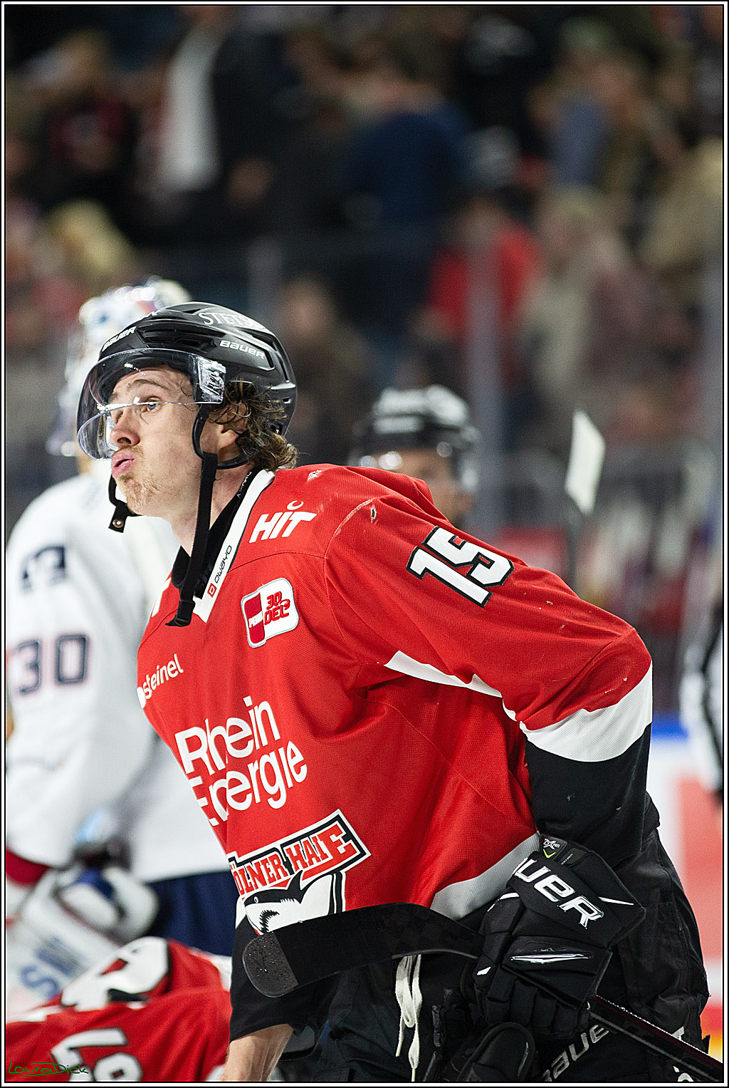 PENNY DEL; Koelner Haie- Adler Mannheim; Koeln, 08.03.2024
