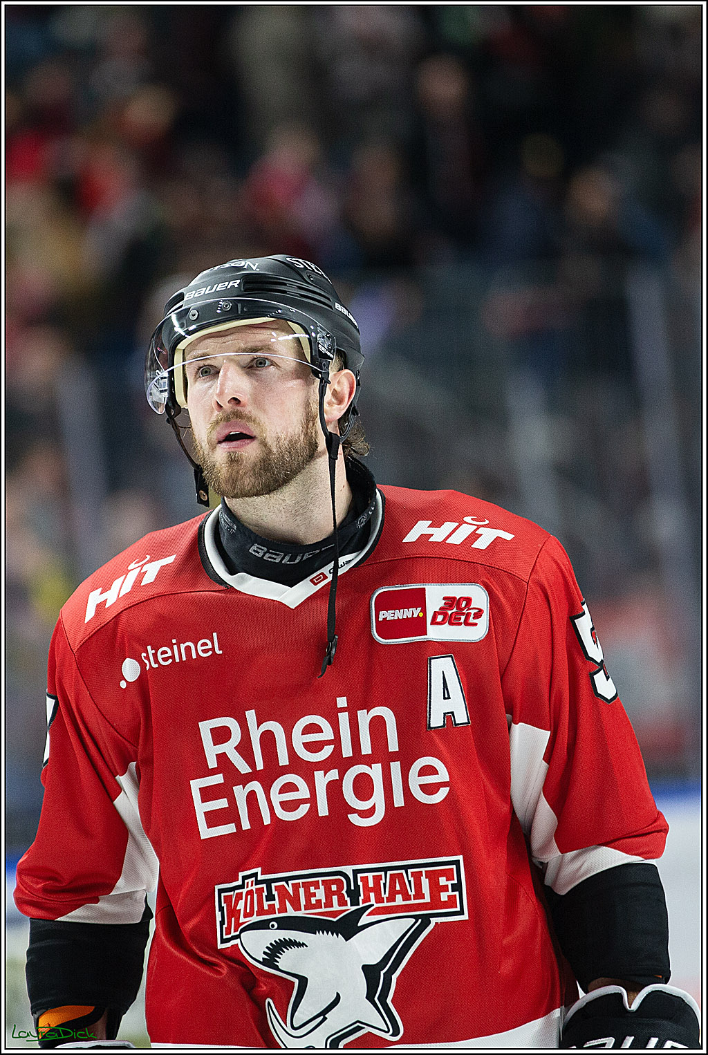 PENNY DEL; Koelner Haie- Adler Mannheim; Koeln, 08.03.2024