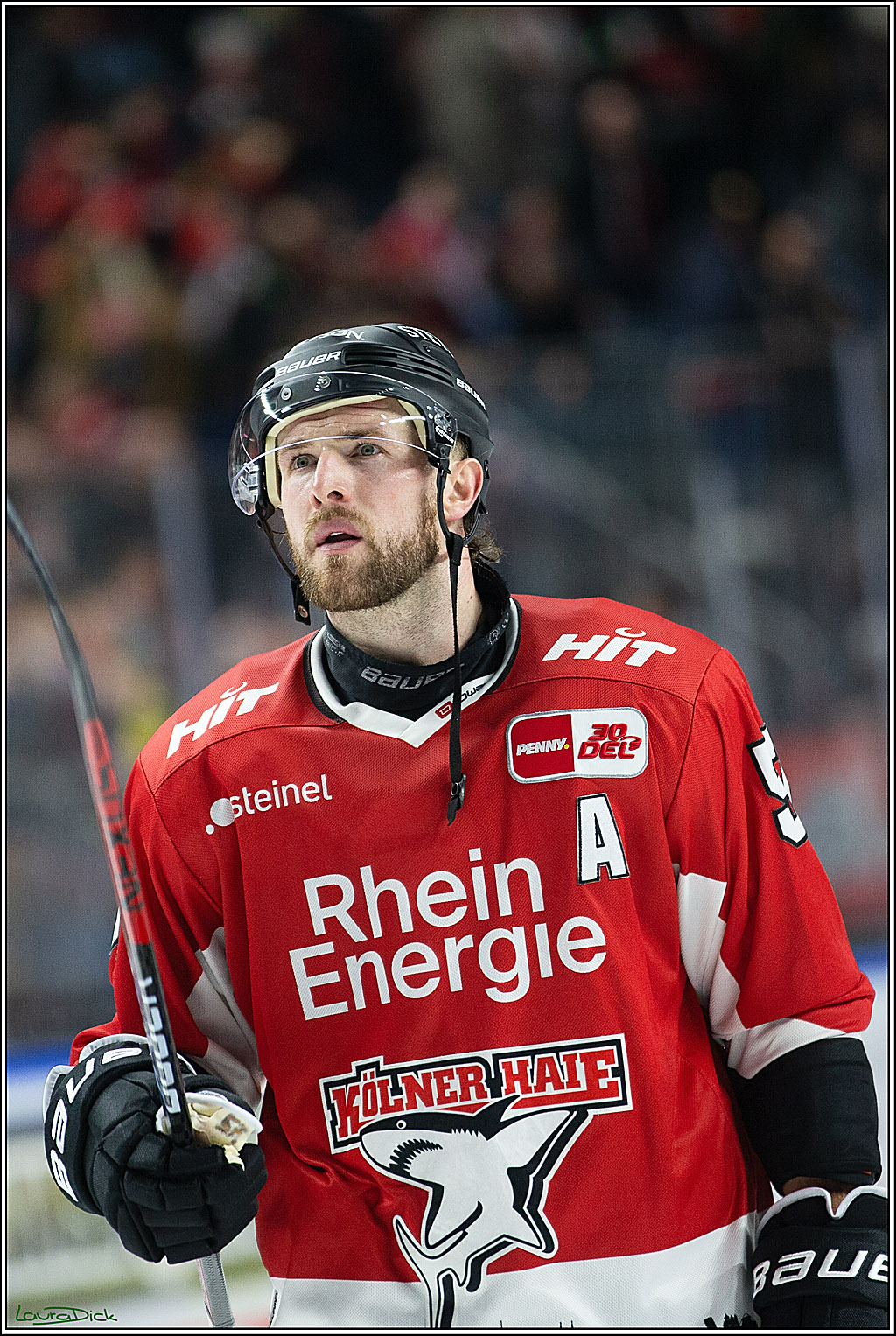 PENNY DEL; Koelner Haie- Adler Mannheim; Koeln, 08.03.2024