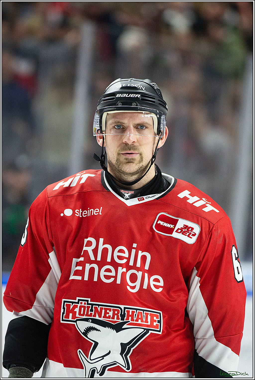 PENNY DEL; Koelner Haie- Adler Mannheim; Koeln, 08.03.2024