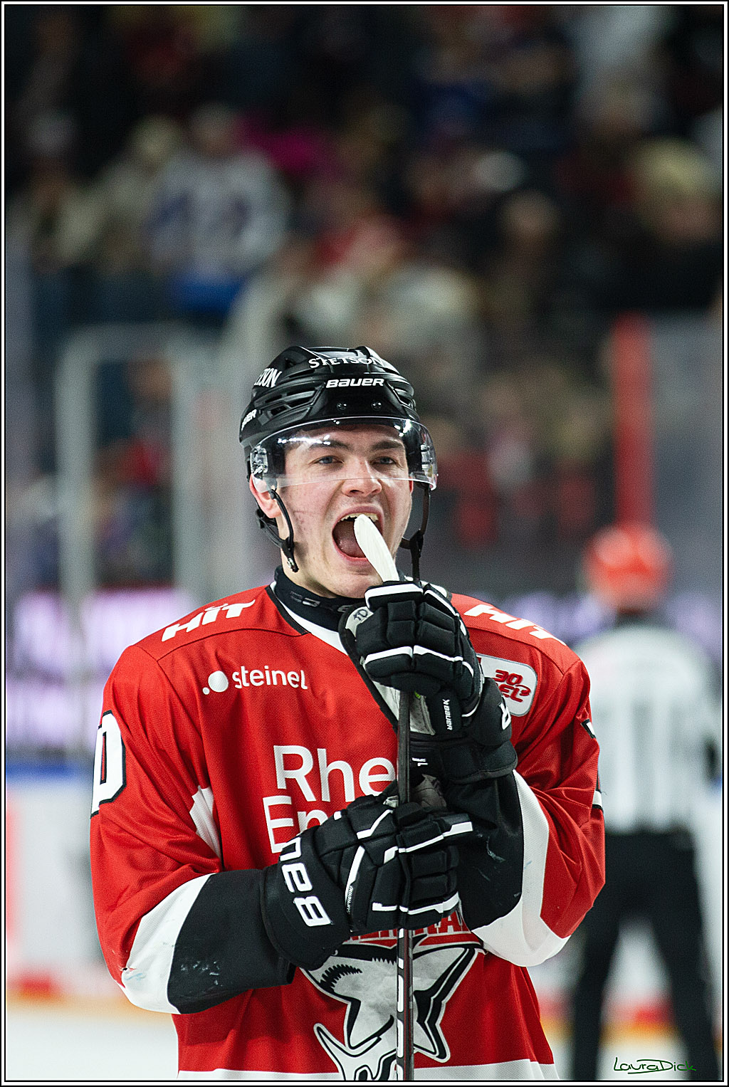 PENNY DEL; Koelner Haie- Adler Mannheim; Koeln, 08.03.2024