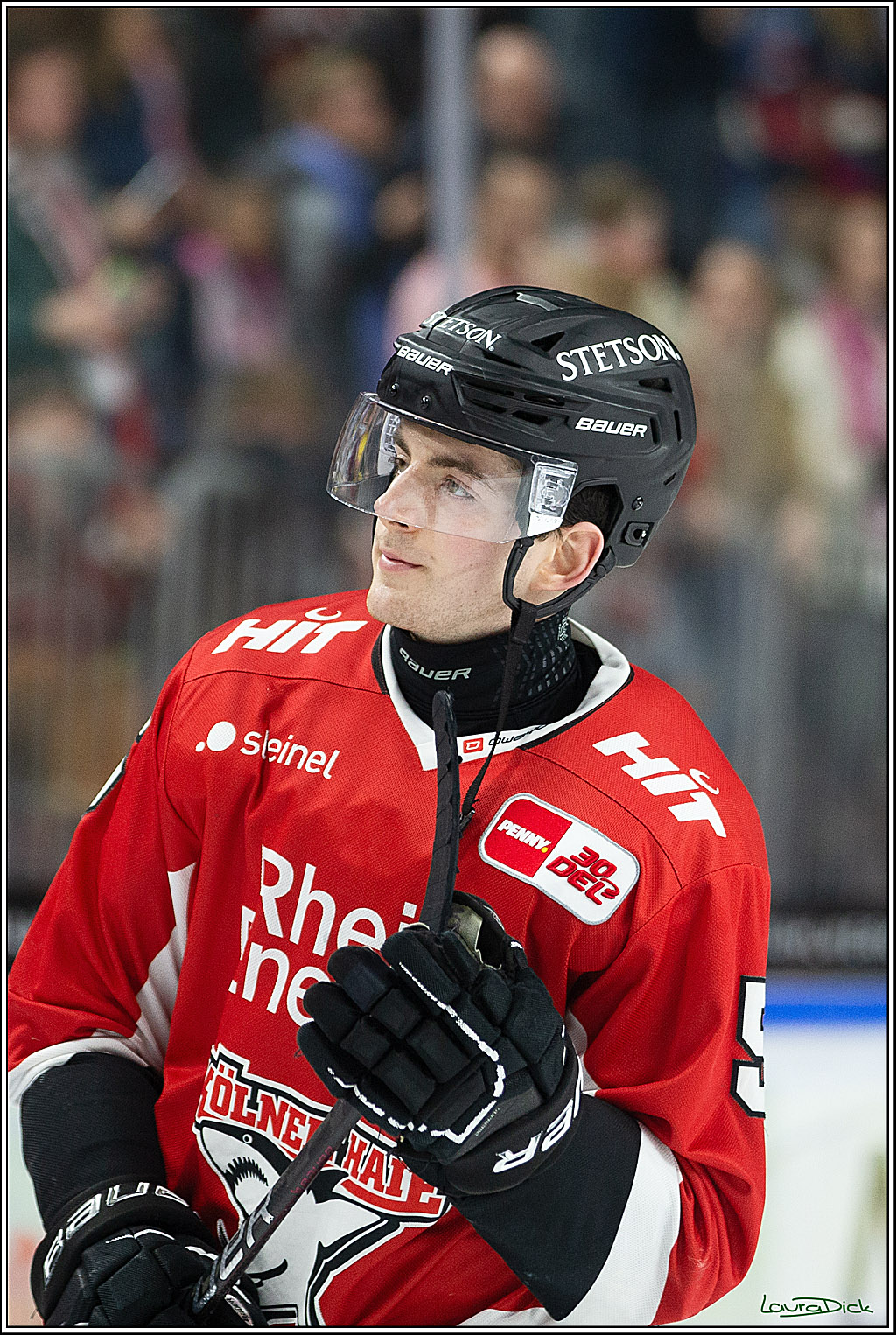 PENNY DEL; Koelner Haie- Adler Mannheim; Koeln, 08.03.2024