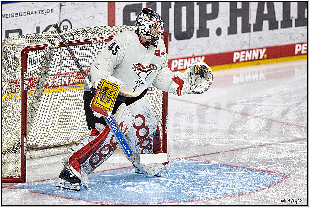 PENNY DEL 1. Playoff-Runde: Kölner Haie - ERC Ingolstadt; Köln, 13.03.2024