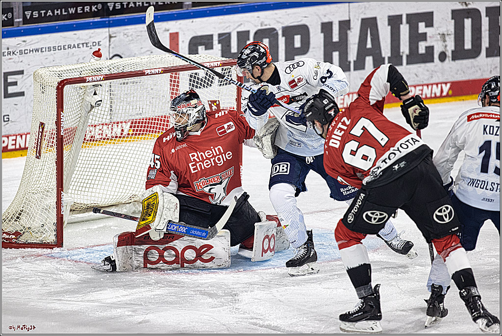 PENNY DEL 1. Playoff-Runde: Kölner Haie - ERC Ingolstadt; Köln, 13.03.2024