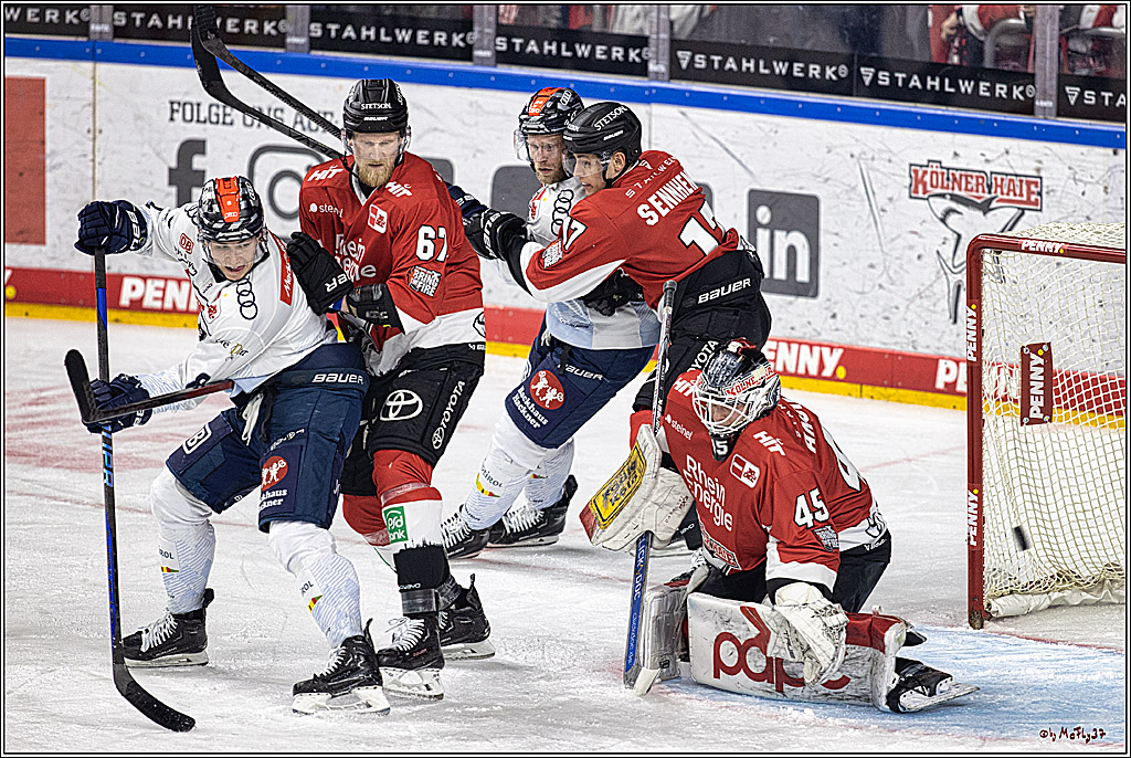 PENNY DEL 1. Playoff-Runde: Kölner Haie - ERC Ingolstadt; Köln, 13.03.2024