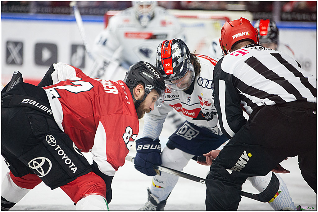PENNY DEL; Koelner Haie- ERC Ingolstadt; Koeln, 13.03.2024