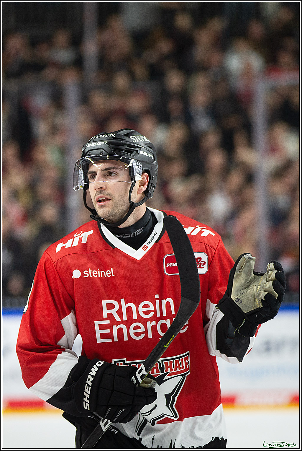 PENNY DEL; Koelner Haie- ERC Ingolstadt; Koeln, 13.03.2024