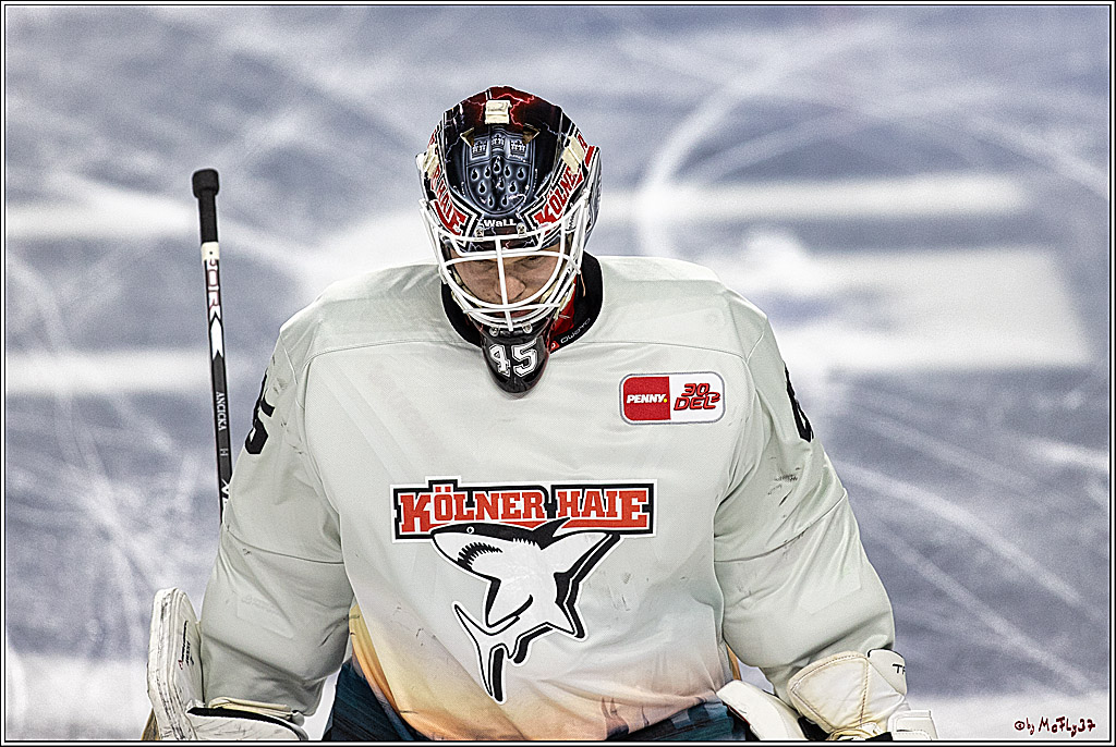 PENNY DEL 1. Playoff-Runde: Kölner Haie - ERC Ingolstadt; Köln, 14.03.2024