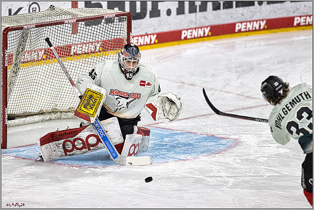 PENNY DEL 1. Playoff-Runde: Kölner Haie - ERC Ingolstadt; Köln, 14.03.2024