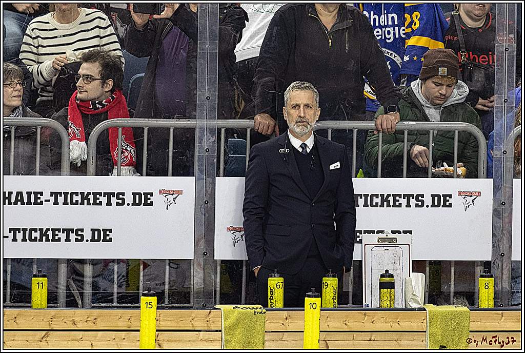 PENNY DEL 1. Playoff-Runde: Kölner Haie - ERC Ingolstadt; Köln, 14.03.2024