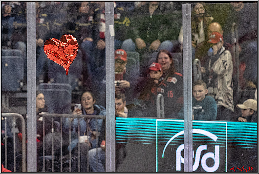 PENNY DEL 1. Playoff-Runde: Kölner Haie - ERC Ingolstadt; Köln, 14.03.2024