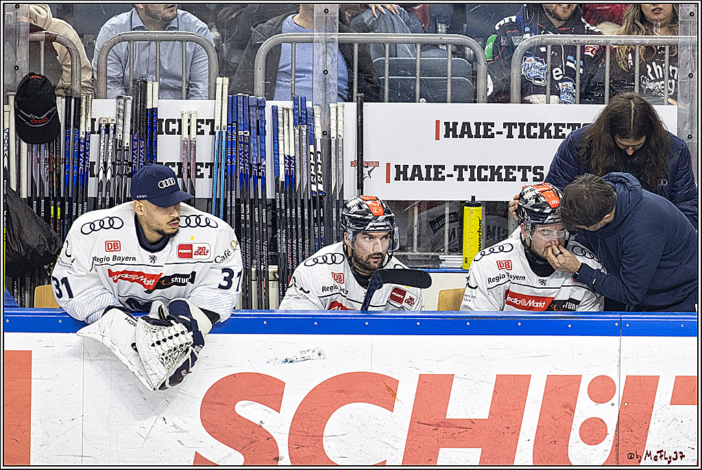 PENNY DEL 1. Playoff-Runde: Kölner Haie - ERC Ingolstadt; Köln, 14.03.2024