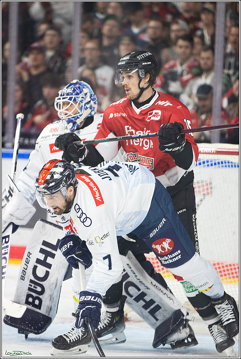 PENNY DEL; Koelner Haie- ERC Ingolstadt; Koeln, 14.03.2024