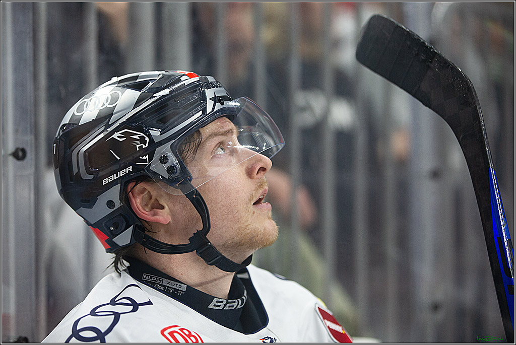 PENNY DEL; Koelner Haie- ERC Ingolstadt; Koeln, 14.03.2024