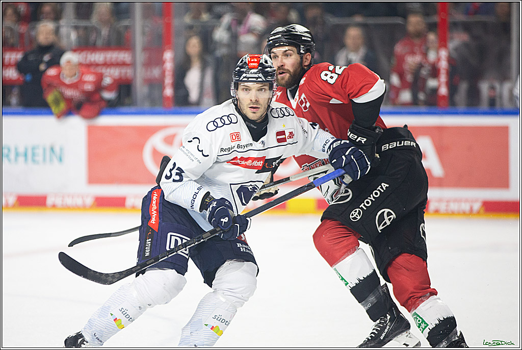 PENNY DEL; Koelner Haie- ERC Ingolstadt; Koeln, 14.03.2024