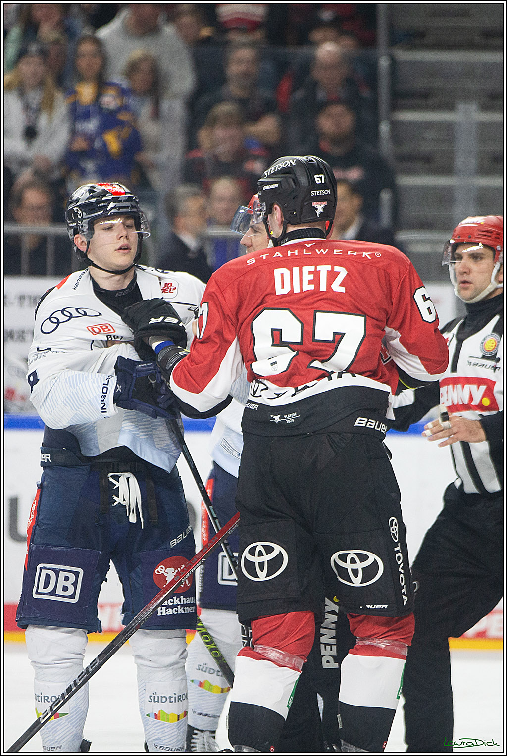 PENNY DEL; Koelner Haie- ERC Ingolstadt; Koeln, 14.03.2024