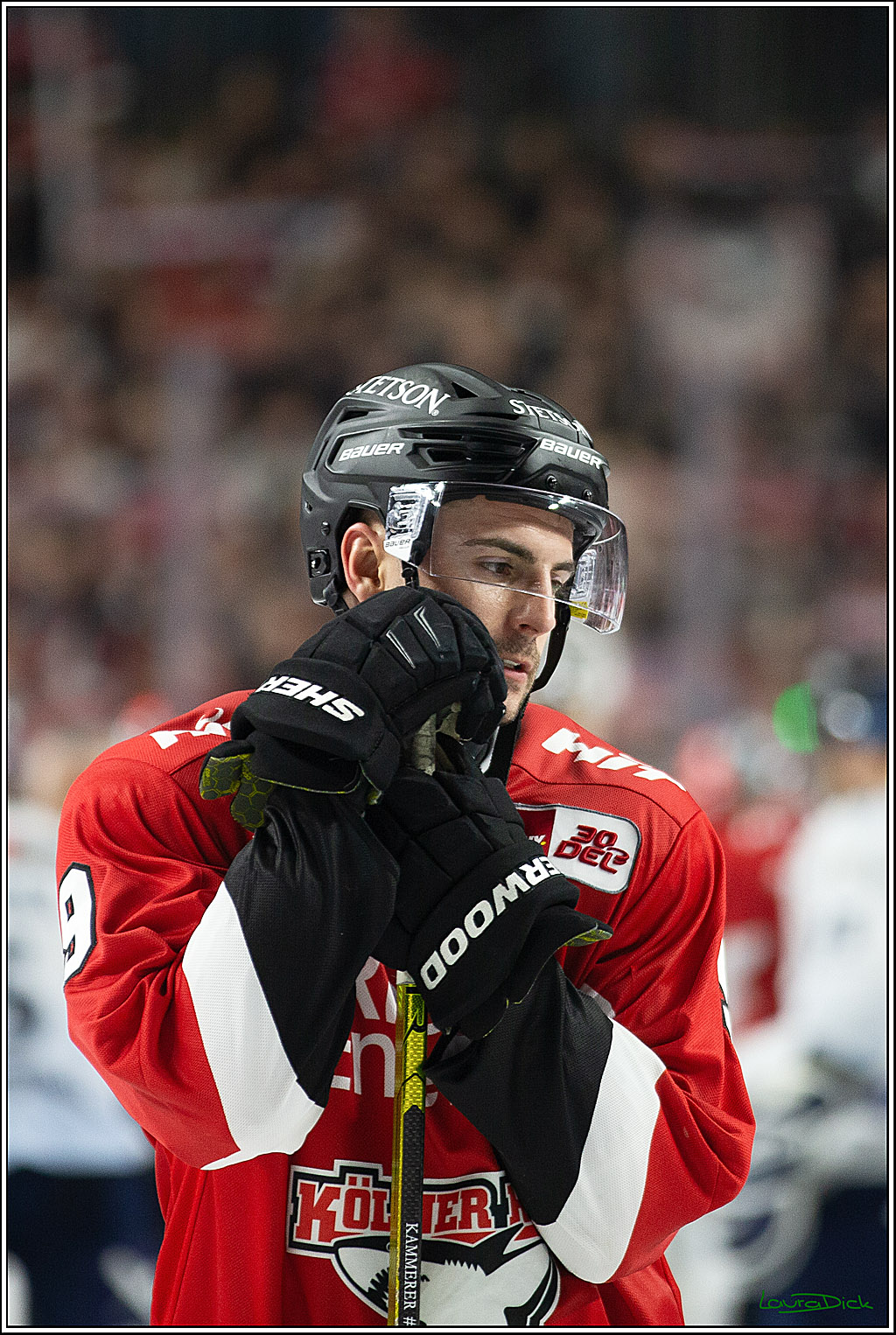 PENNY DEL; Koelner Haie- ERC Ingolstadt; Koeln, 14.03.2024