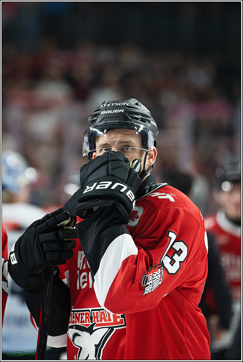 PENNY DEL; Koelner Haie- ERC Ingolstadt; Koeln, 14.03.2024