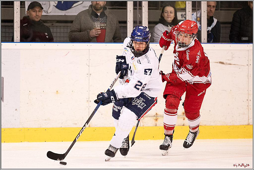 4. Finale Spiel U17 Kölner Junghaie - Jungadler Mannheim 1:5, 21.04.2024
