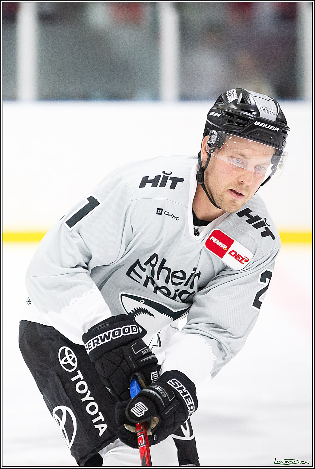 PENNY DEL; Erstes öffentliches Training; Koeln, 11.08.2024