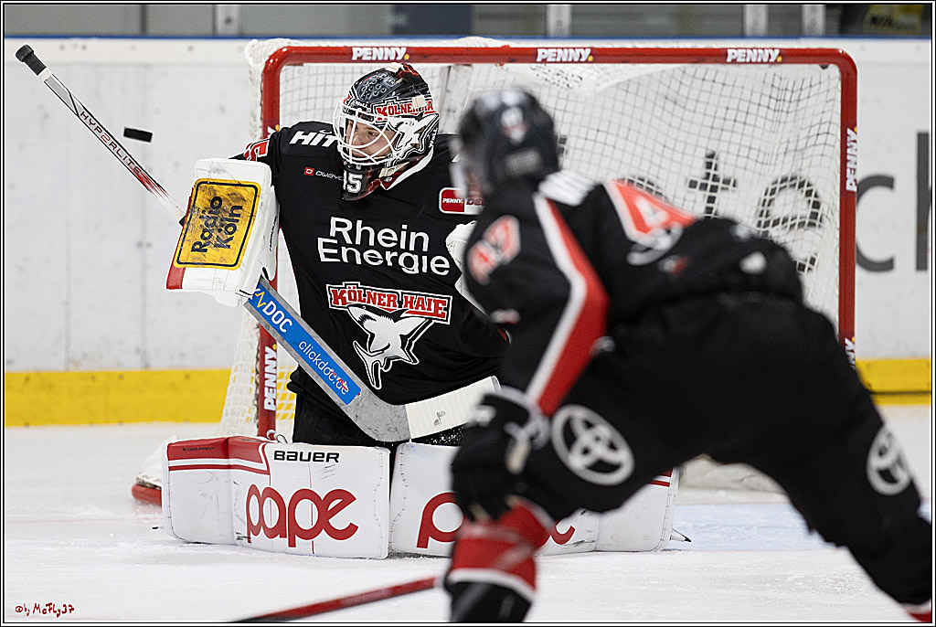 PENNY DEL, Testspiel Kölner Haie - Löwen Frankfurt 2-1; Köln, 25.08.2024