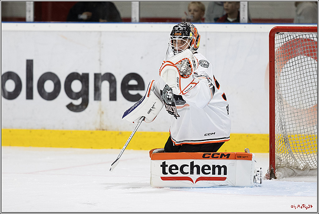 PENNY DEL, Testspiel Kölner Haie - Löwen Frankfurt 2-1; Köln, 25.08.2024