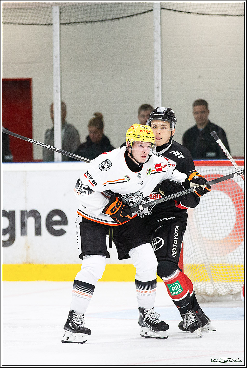 PENNY DEL;Testspiel Koelner Haie- Loewen Frankfurt; Koeln, 25.08.2024