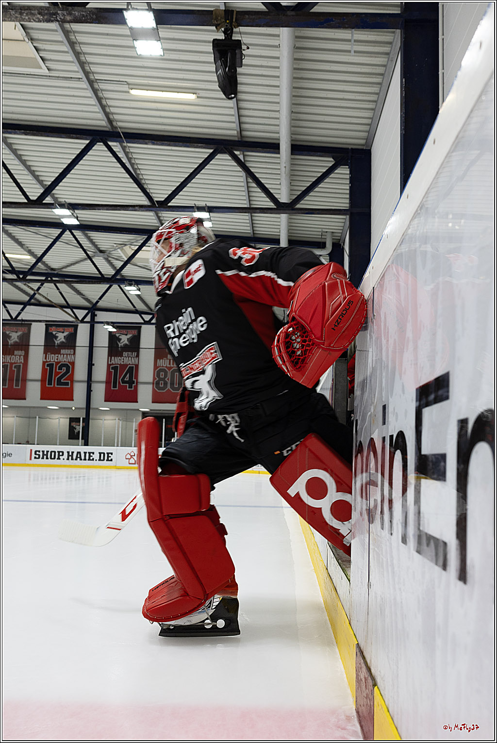 Testspiel Kölner Haie - Pioneers Vorarlberg 4-2; Köln, 08.09.2024