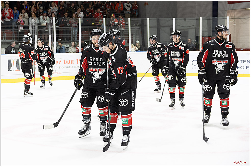 Testspiel Kölner Haie - Pioneers Vorarlberg 4-2; Köln, 08.09.2024