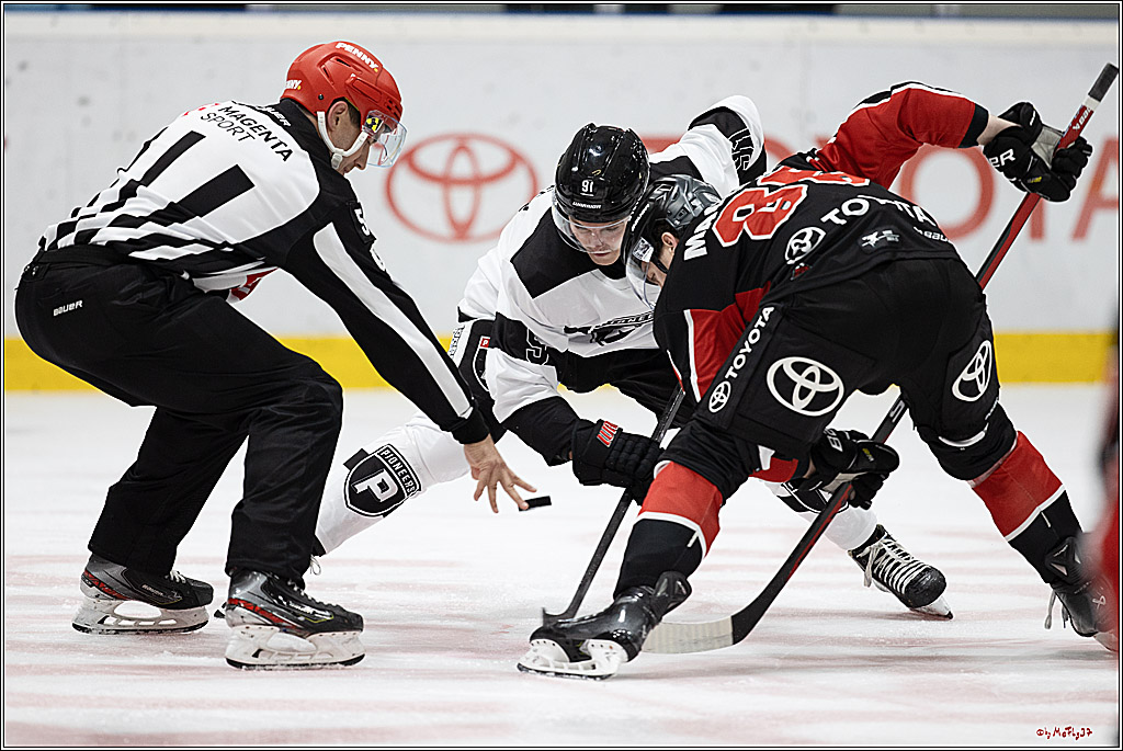 Testspiel Kölner Haie - Pioneers Vorarlberg 4-2; Köln, 08.09.2024