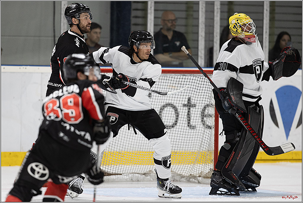 Testspiel Kölner Haie - Pioneers Vorarlberg 4-2; Köln, 08.09.2024