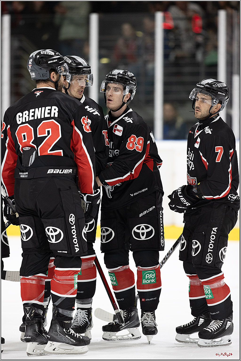 Testspiel Kölner Haie - Pioneers Vorarlberg 4-2; Köln, 08.09.2024