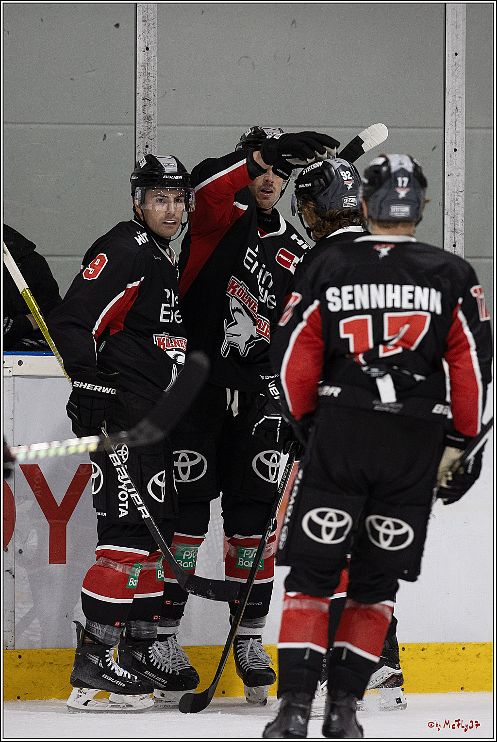 Testspiel Kölner Haie - Pioneers Vorarlberg 4-2; Köln, 08.09.2024