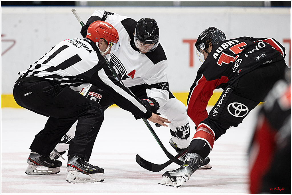 Testspiel Kölner Haie - Pioneers Vorarlberg 4-2; Köln, 08.09.2024