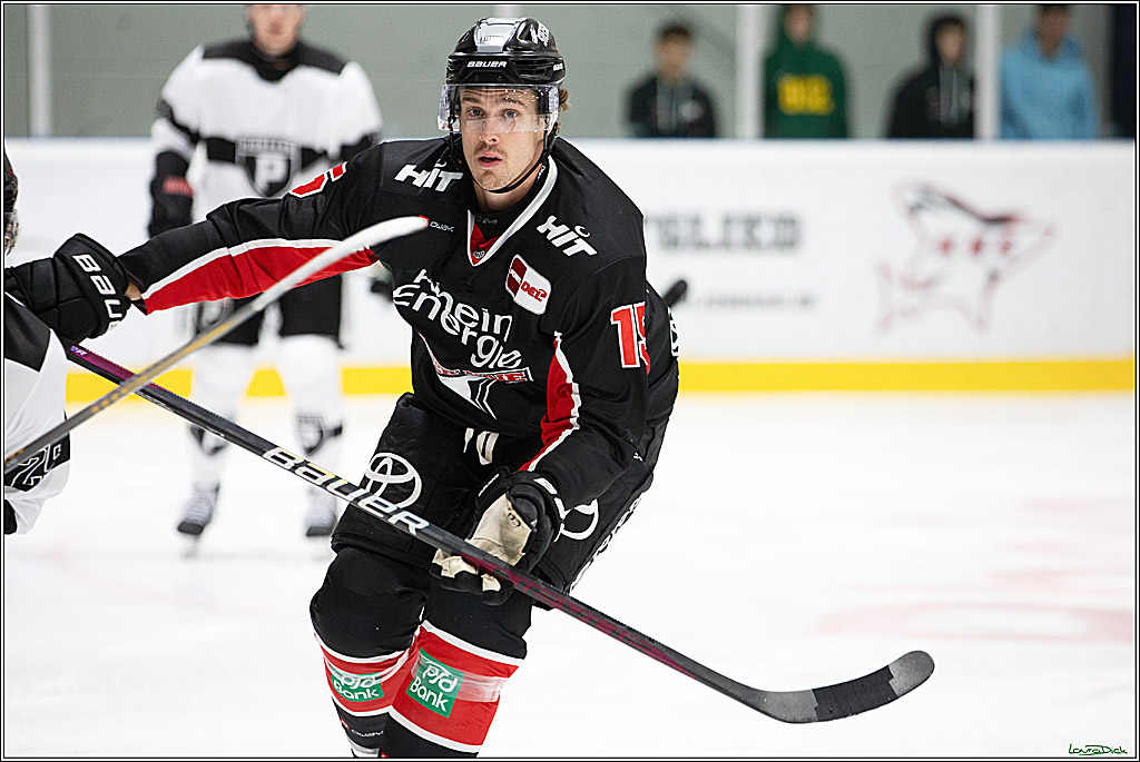 PENNY DEL;Testspiel Koelner Haie- Pioneers Vorarlberg; Koeln, 08.09.2024