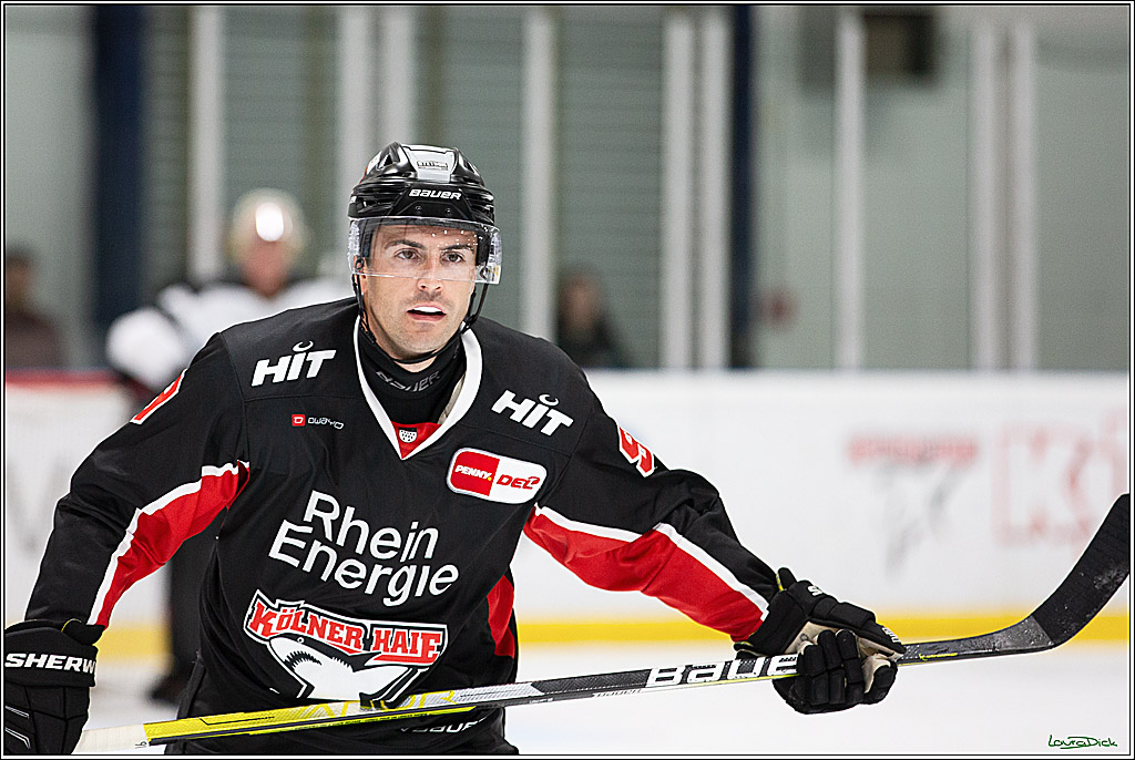 PENNY DEL;Testspiel Koelner Haie- Pioneers Vorarlberg; Koeln, 08.09.2024