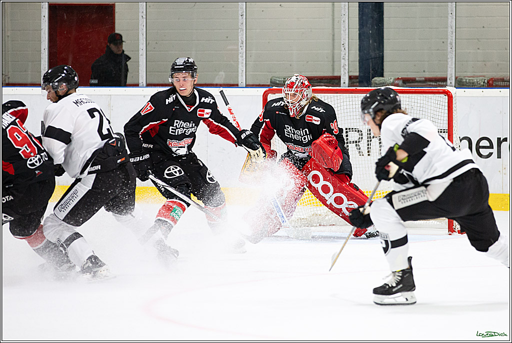PENNY DEL;Testspiel Koelner Haie- Pioneers Vorarlberg; Koeln, 08.09.2024