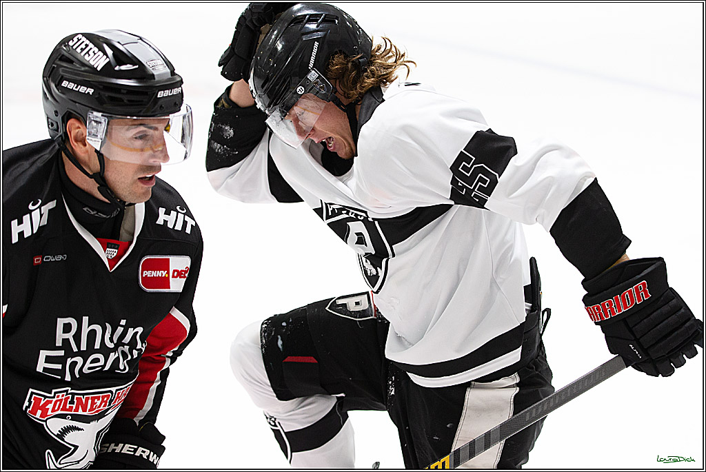 PENNY DEL;Testspiel Koelner Haie- Pioneers Vorarlberg; Koeln, 08.09.2024