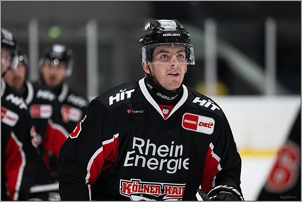 PENNY DEL;Testspiel Koelner Haie- Pioneers Vorarlberg; Koeln, 08.09.2024