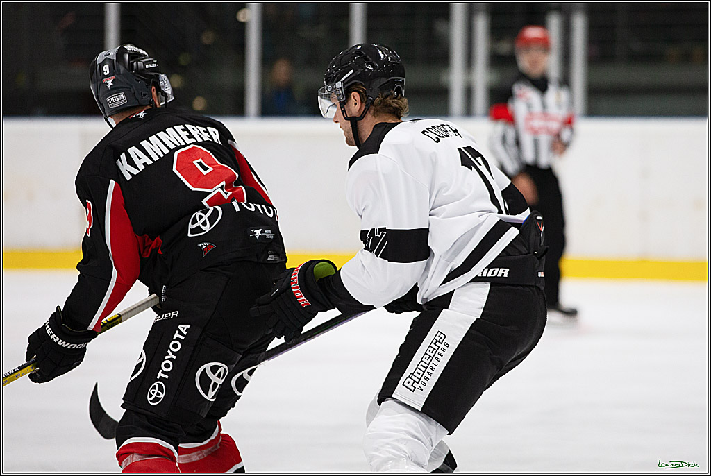 PENNY DEL;Testspiel Koelner Haie- Pioneers Vorarlberg; Koeln, 08.09.2024