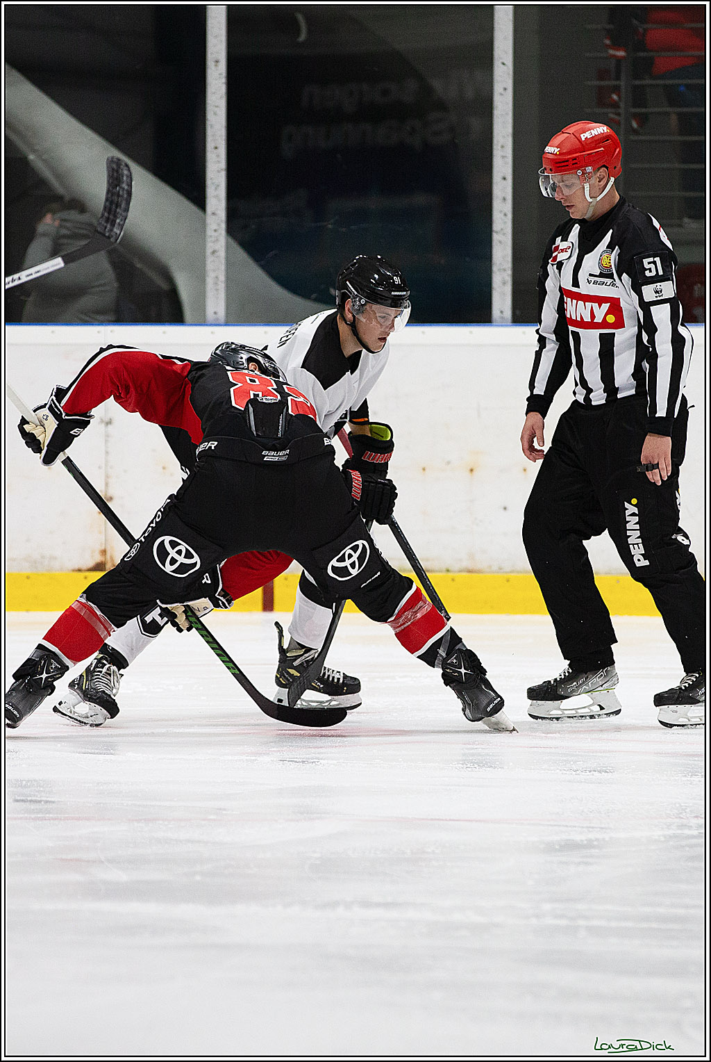 PENNY DEL;Testspiel Koelner Haie- Pioneers Vorarlberg; Koeln, 08.09.2024
