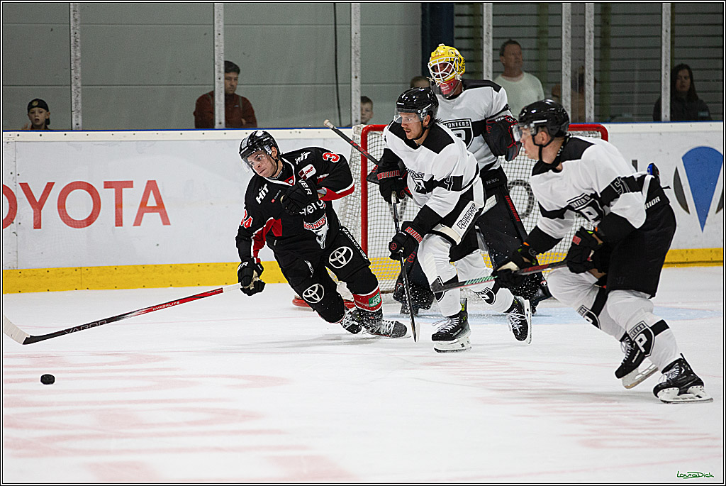 PENNY DEL;Testspiel Koelner Haie- Pioneers Vorarlberg; Koeln, 08.09.2024